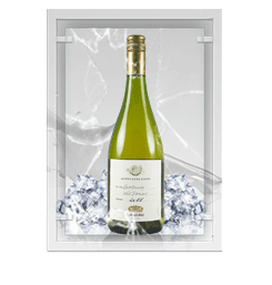 Chardonnay Aconcagua Costa Errazuriz