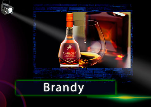 Todo acerca del Brandy