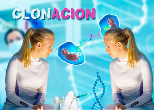 La clonación